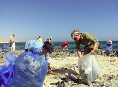 Image result for beach clean up
