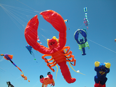 Ocean Beach News Article: 75th Ocean Beach Kite Festival