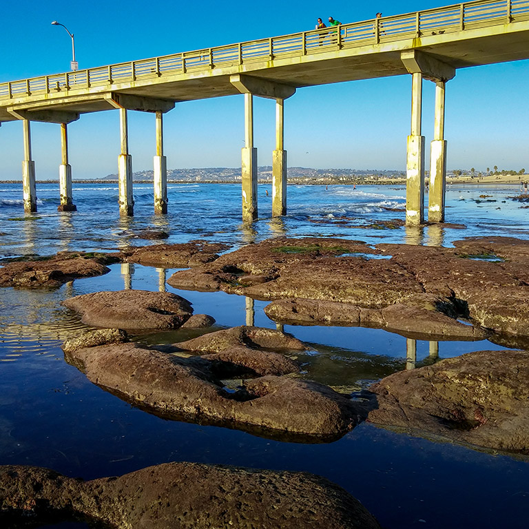 Ocean Beach News Article: The new pier will be at a higher elevation to minimize the potential for wave damage and account for future sea-level rises