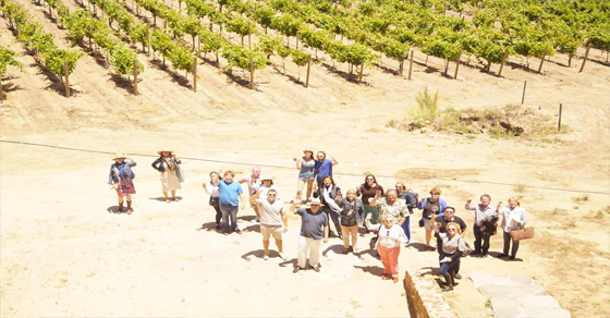 Valle de Guadalupe Tour with The Wine Pub