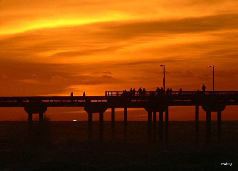 OB Pier Photos by Joe Ewing | Ocean Beach San Diego CA