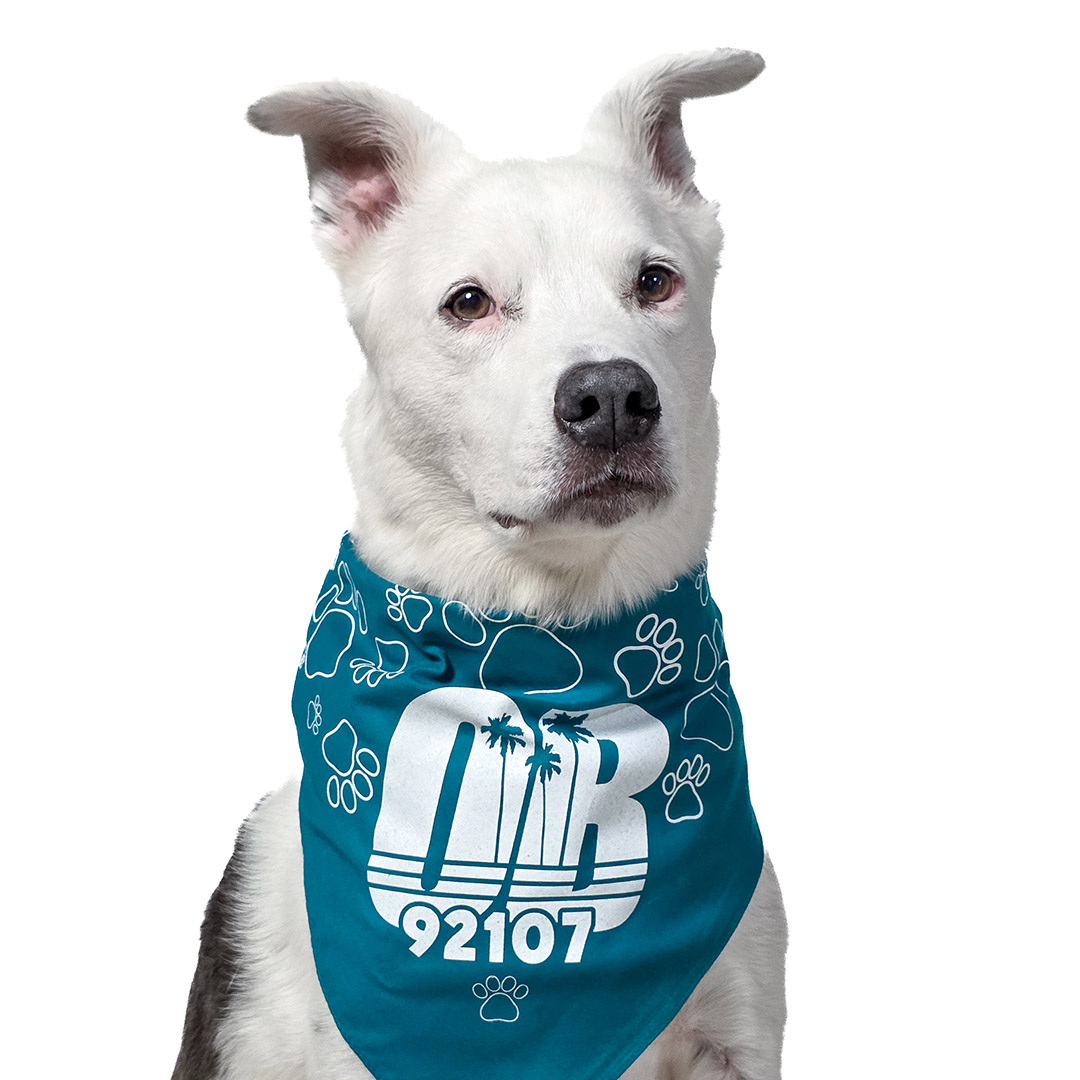 Photo of Dog Beach San Diego Bandana Dog Beach San Diego Bandana