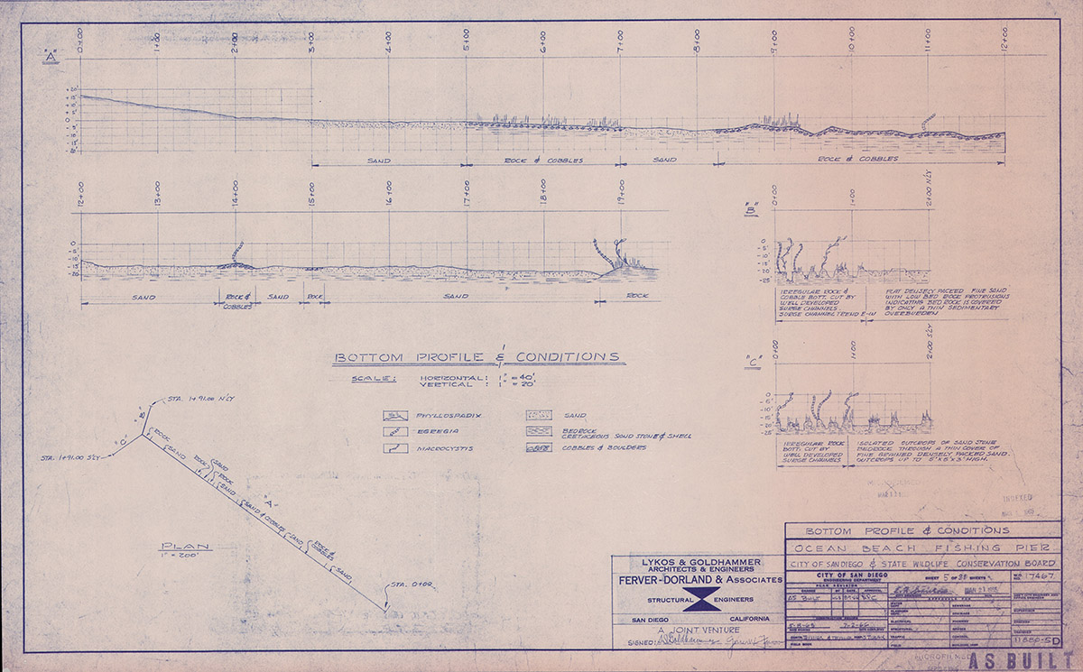 Ocean Beach Fishing Pier Blue Prints Bottom Profile & Conditions