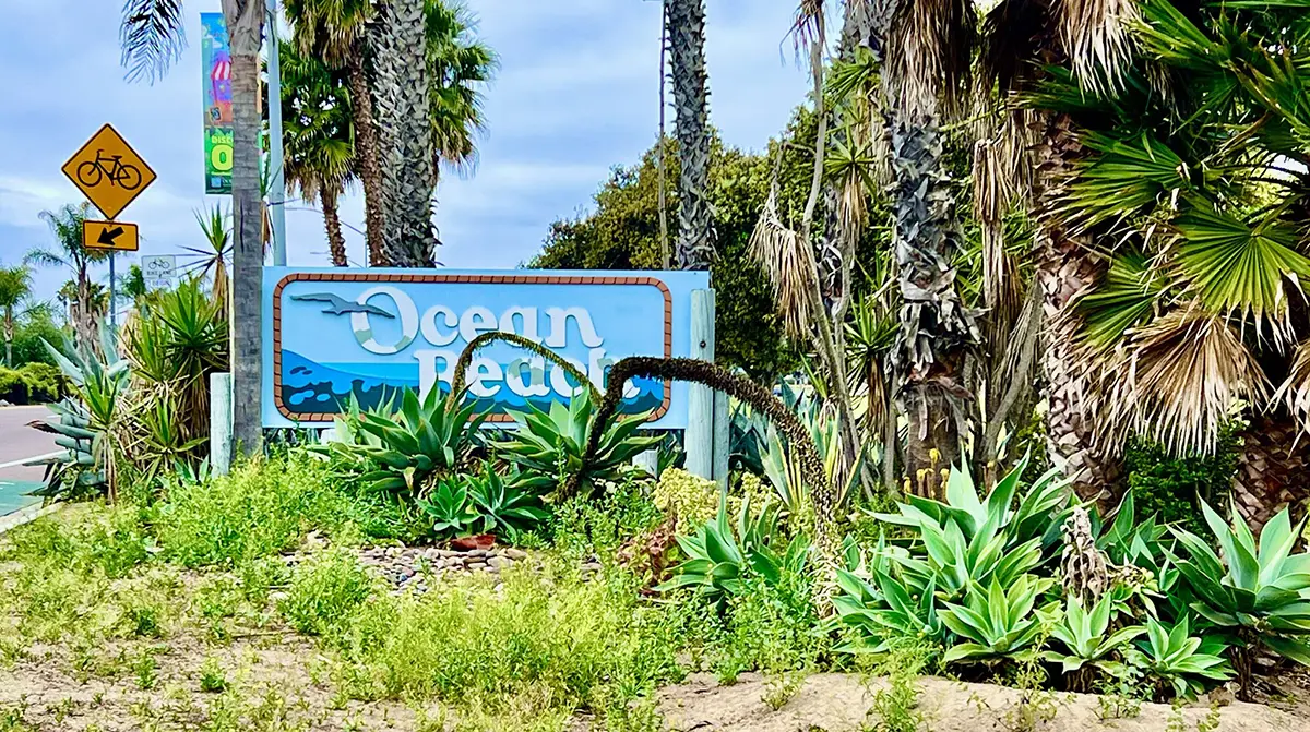 Ocean Beach Entryway Spring Cleanup