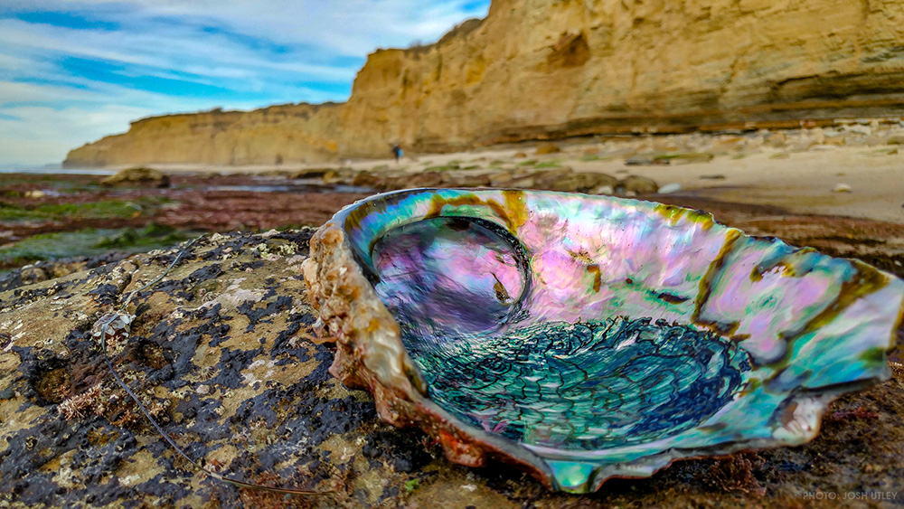 Sunset Cliffs Natural Park of San Diego