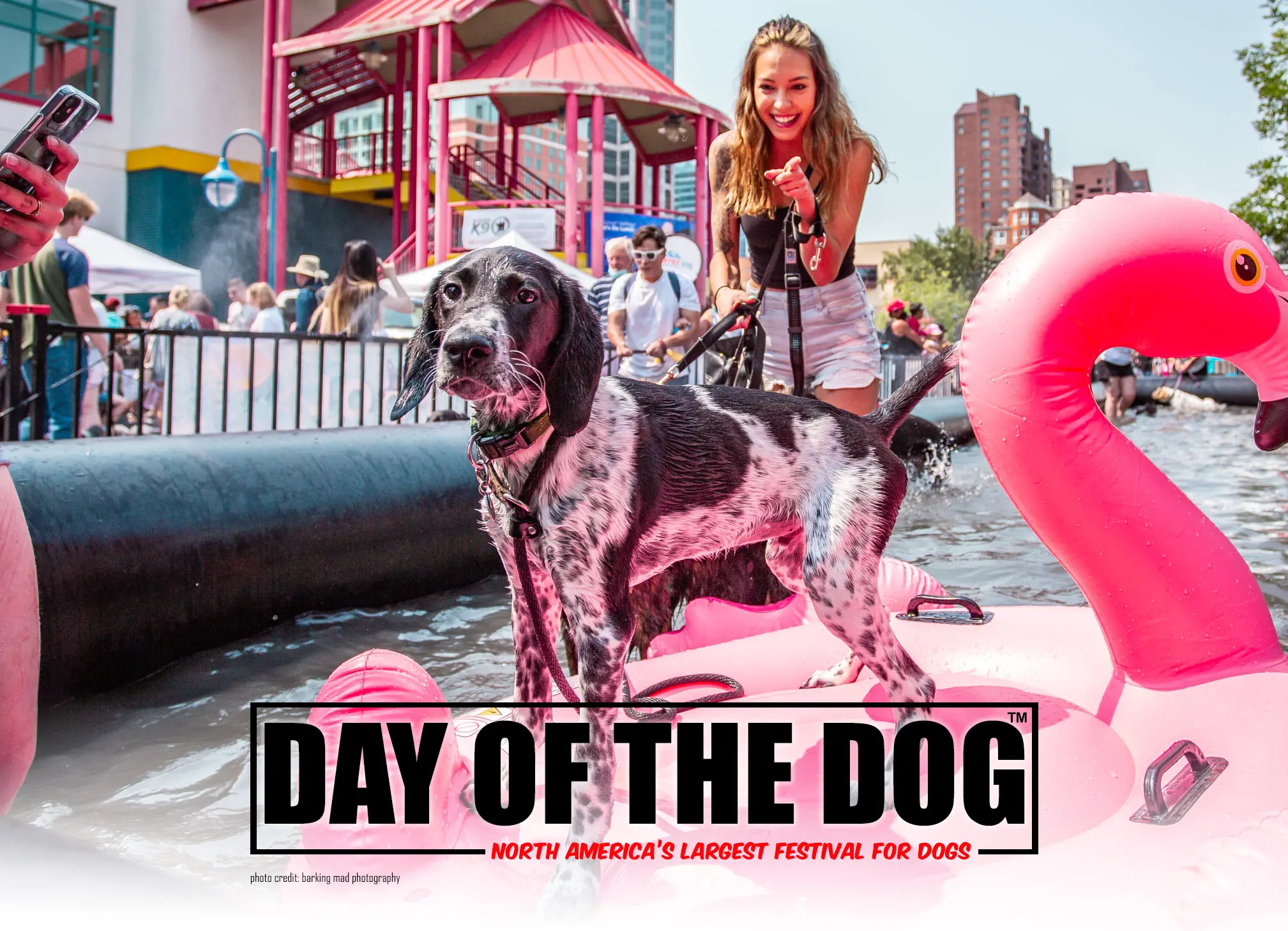 Day of The Dog Flyer Day of The Dog - San Diego