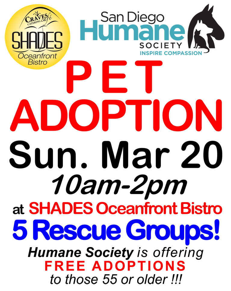 Pet Adoption at Shades | Ocean Beach San Diego CA | News