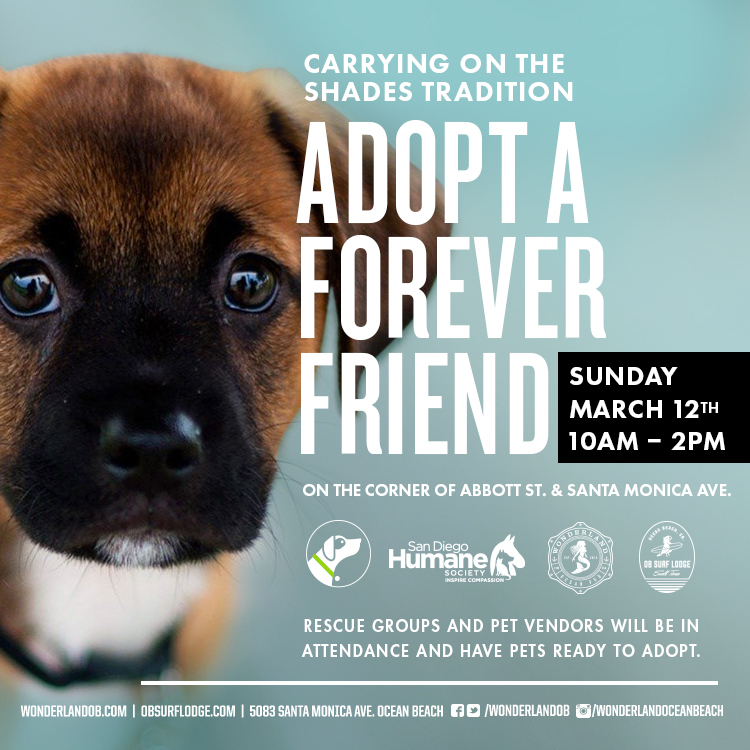 March OB Dog Adoption at Wonderland/OB Surf Lodge