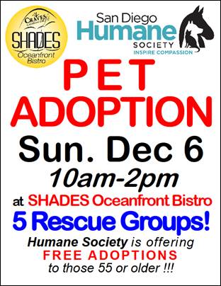 Pet Adoption at Shades