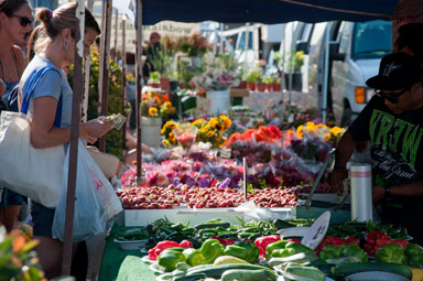 OB Farmers Market  Ocean Beach San Diego CA