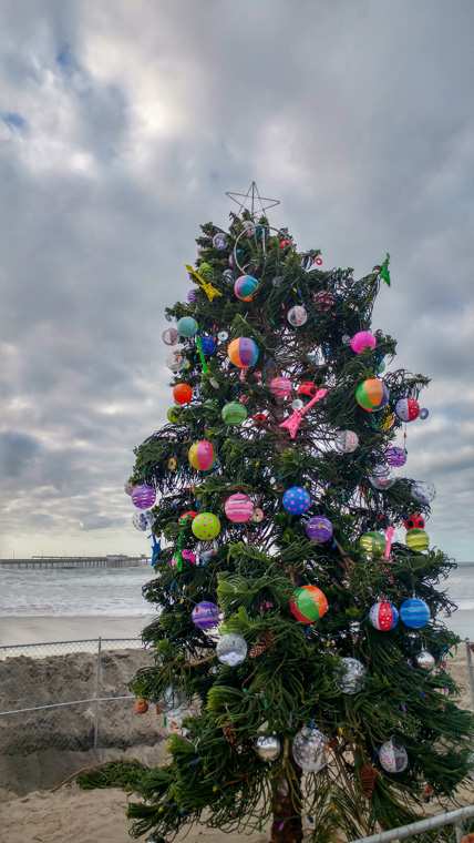 Ocean Beach Christmas Tree (2018)