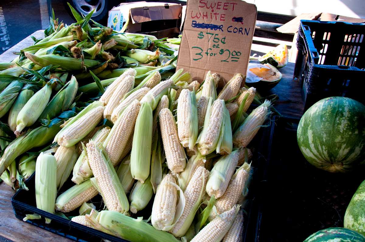 Photo of: Farmers Market 2011