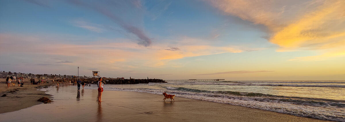 Photo of: Dog Beach Summer Sunsets
