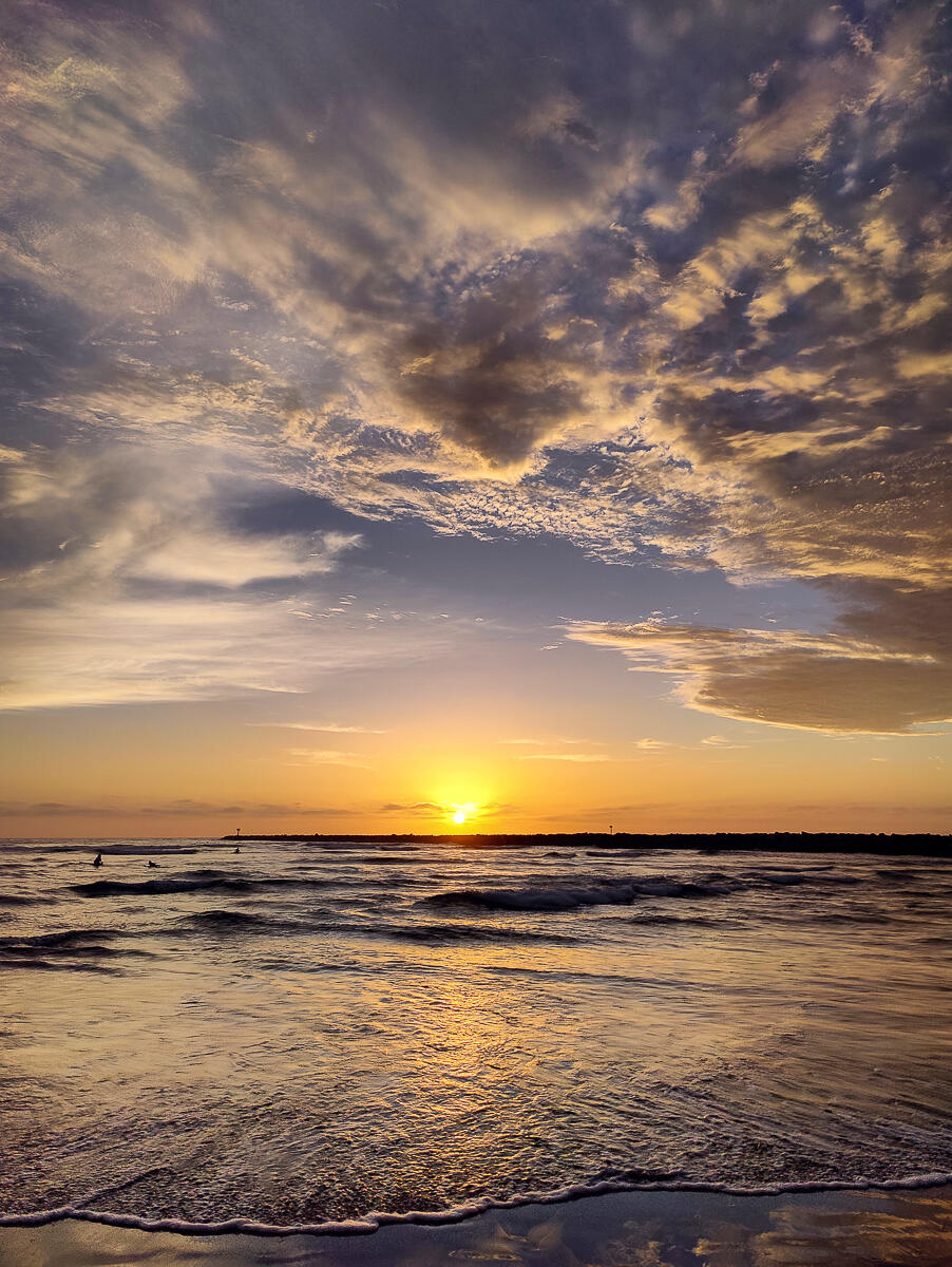 Photo of: Dog Beach Summer Sunsets