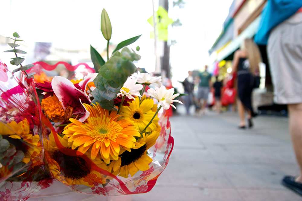 OB Farmers Market 2014 | Ocean Beach San Diego CA