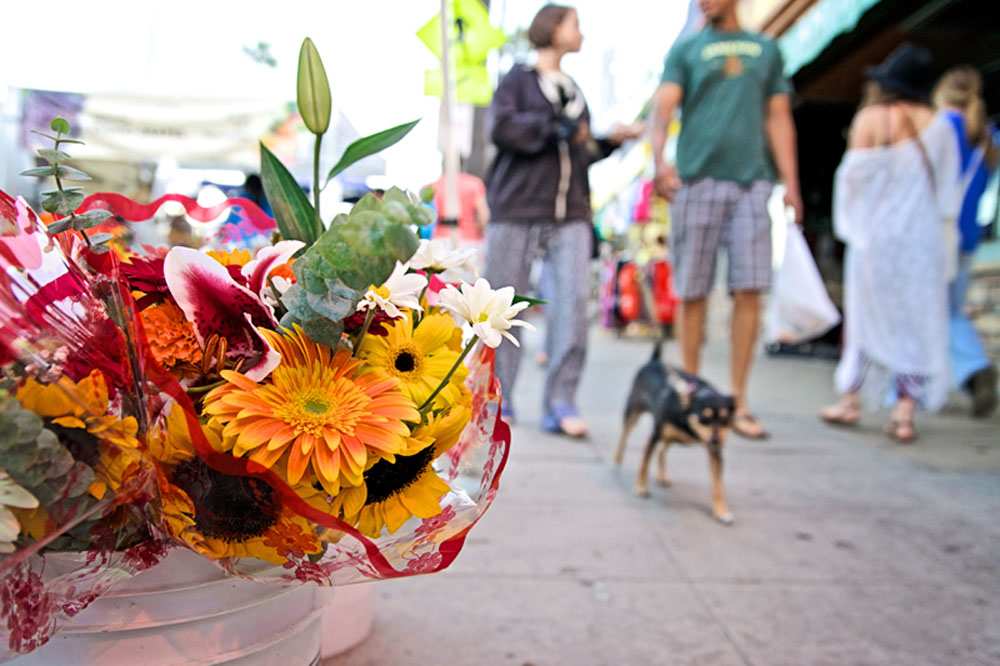 OB Farmers Market 2014 | Ocean Beach San Diego CA