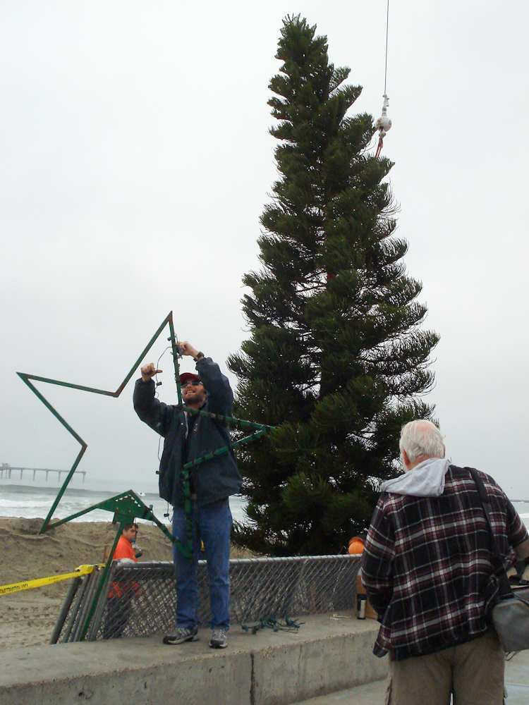 OB Christmas Tree 2008