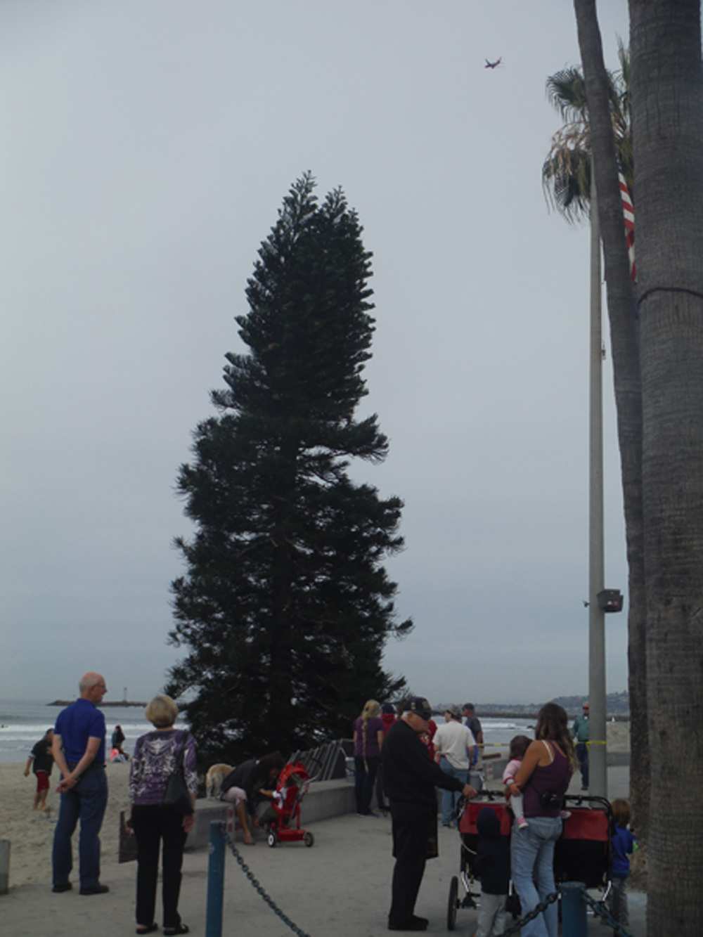 Ocean Beach MainStreet Association Christmas Tree