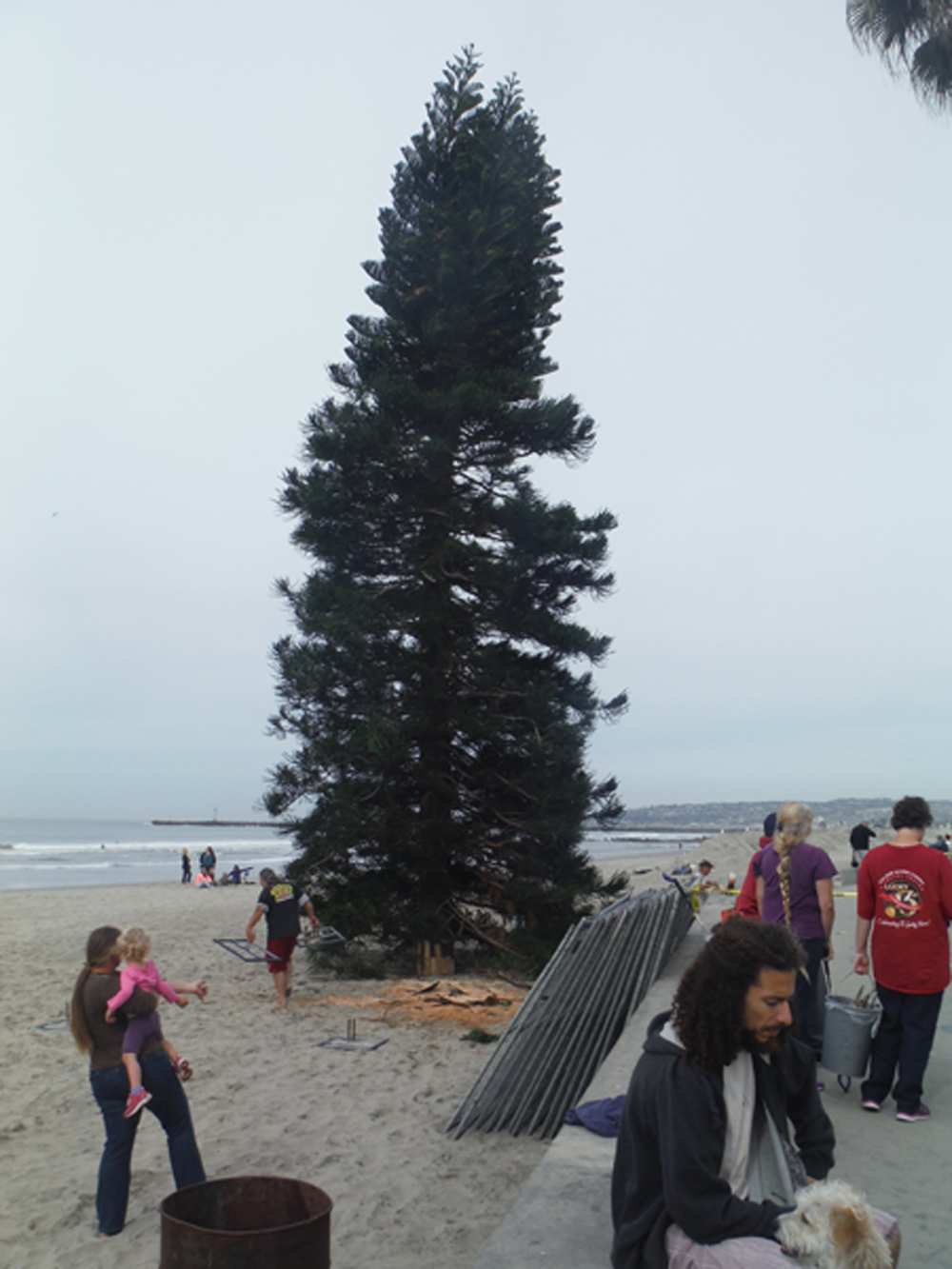 Ocean Beach MainStreet Association Christmas Tree