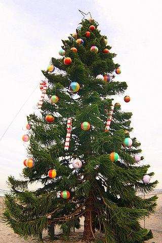 OB Christmas Tree 2007
