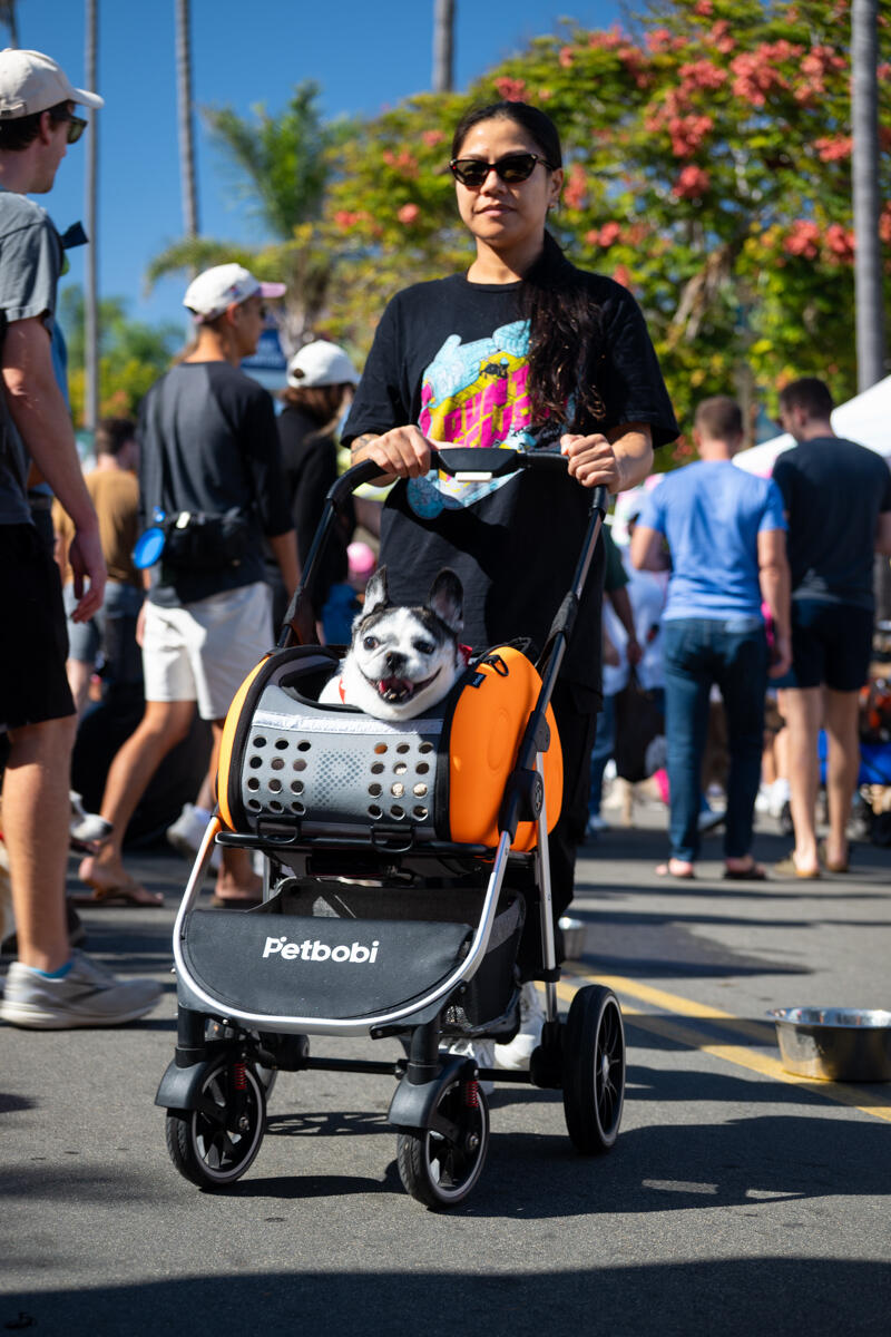 Photo of: The Day Of The Dog 2025 Ocean Beach