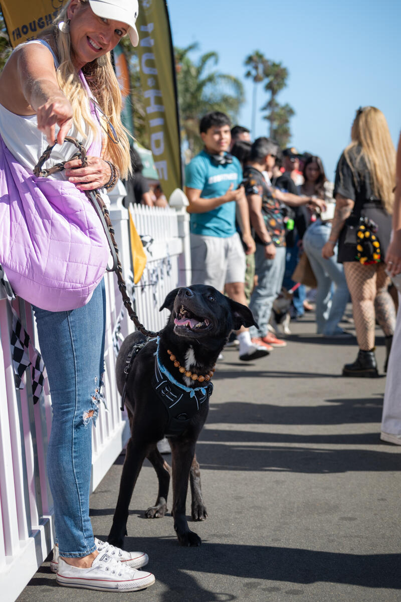 Photo of: The Day Of The Dog 2025 Ocean Beach