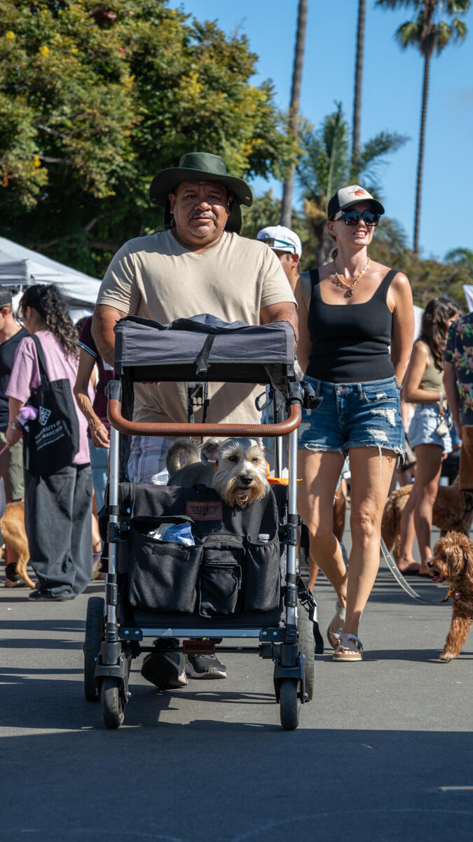 Photo of: The Day Of The Dog 2025 Ocean Beach