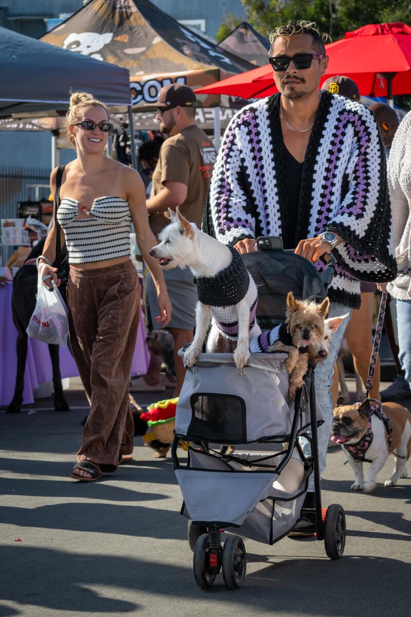 Photo of: The Day Of The Dog 2025 Ocean Beach