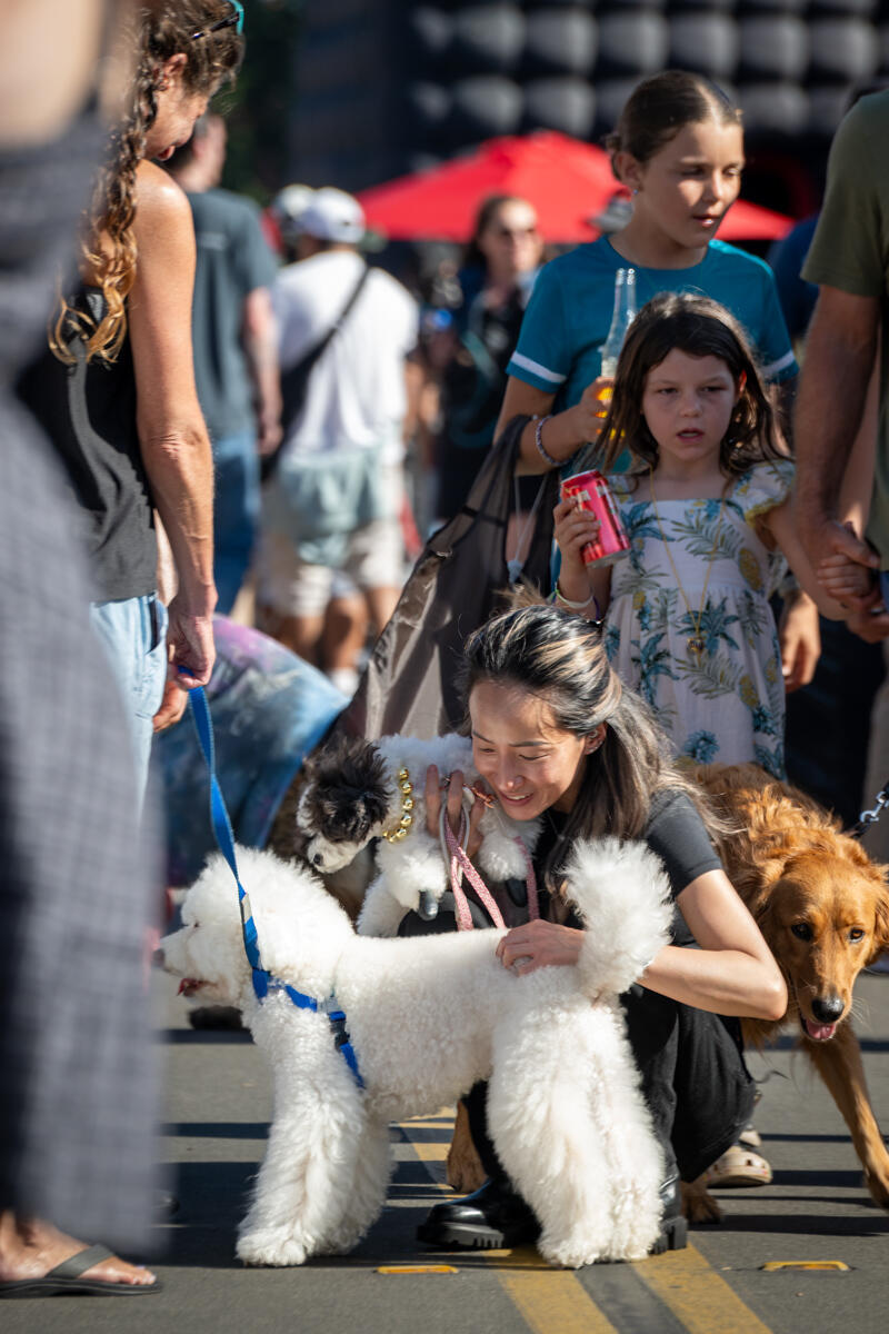 Photo of: The Day Of The Dog 2025 Ocean Beach