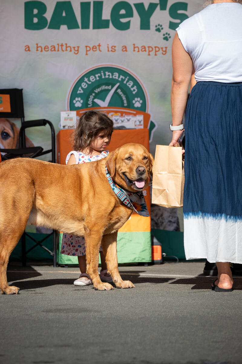Photo of: The Day Of The Dog 2025 Ocean Beach