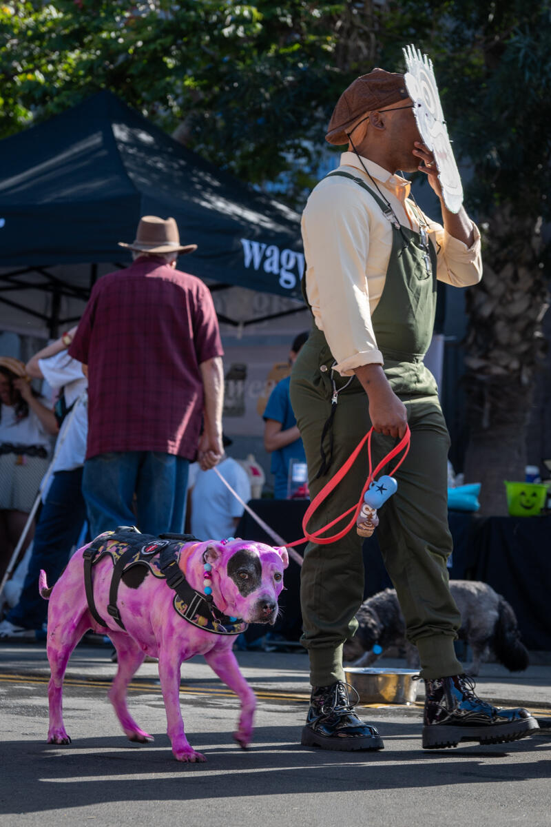 Photo of: The Day Of The Dog 2025 Ocean Beach
