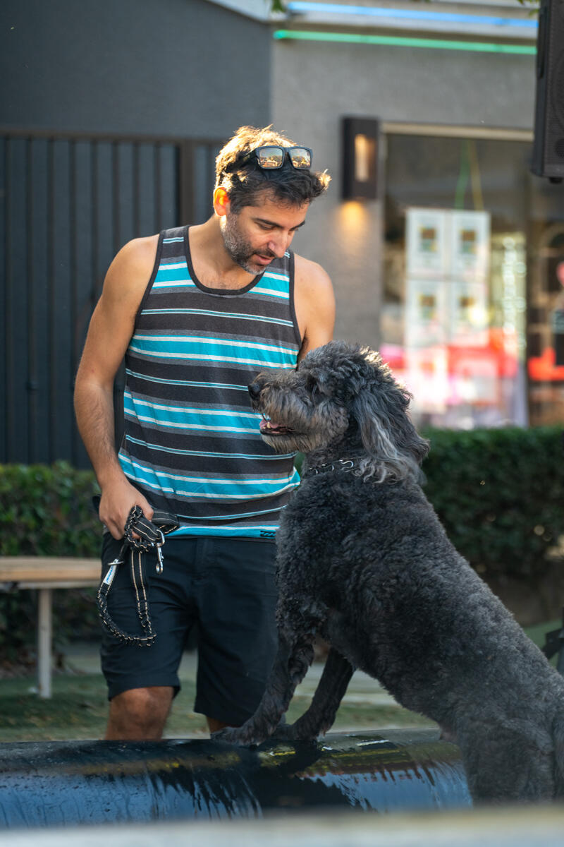 Photo of: The Day Of The Dog 2025 Ocean Beach