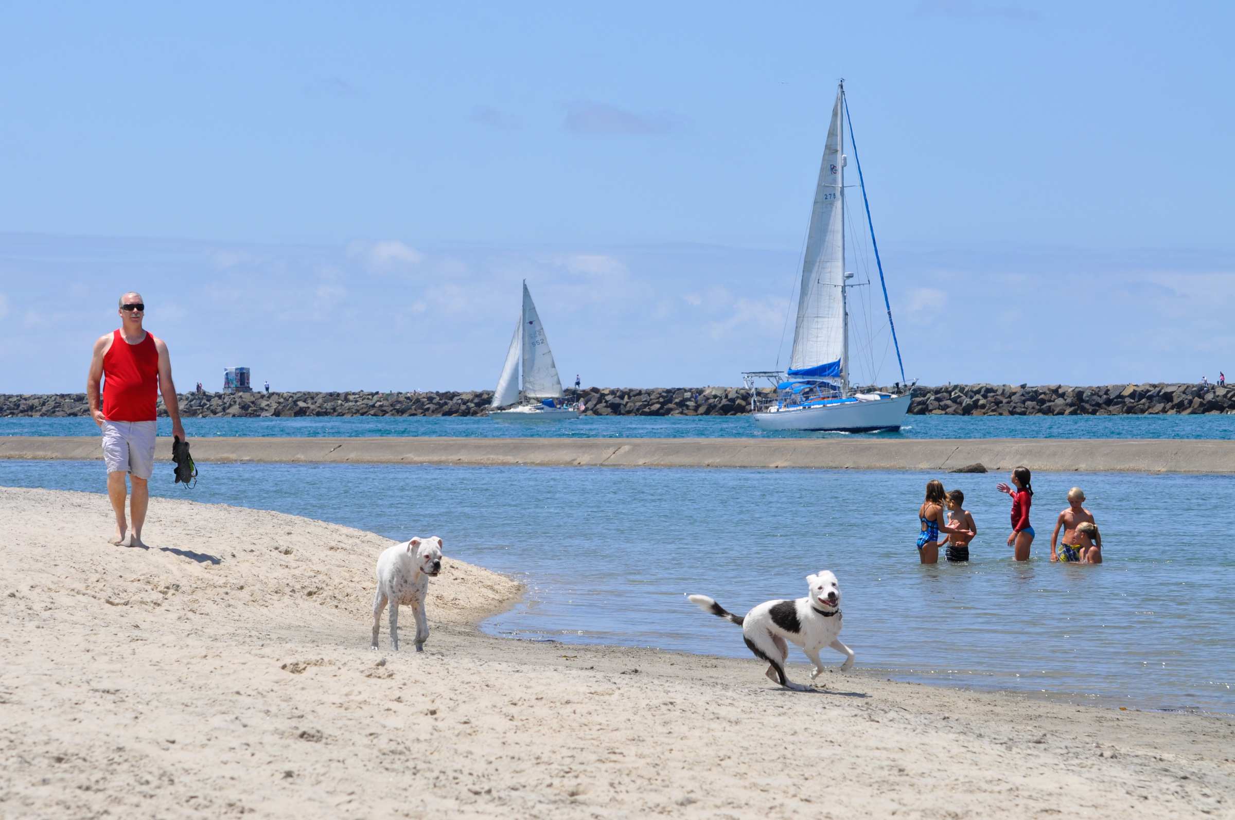 Photo of: Dog Beach