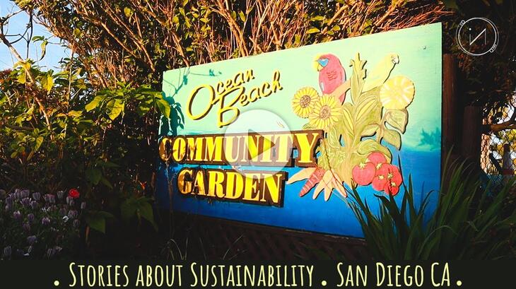 STORIES ABOUT SUSTAINABILITY | Ocean Beach Community Garden, San Diego/CA
