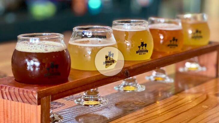 California Wild Ales Ocean Beach