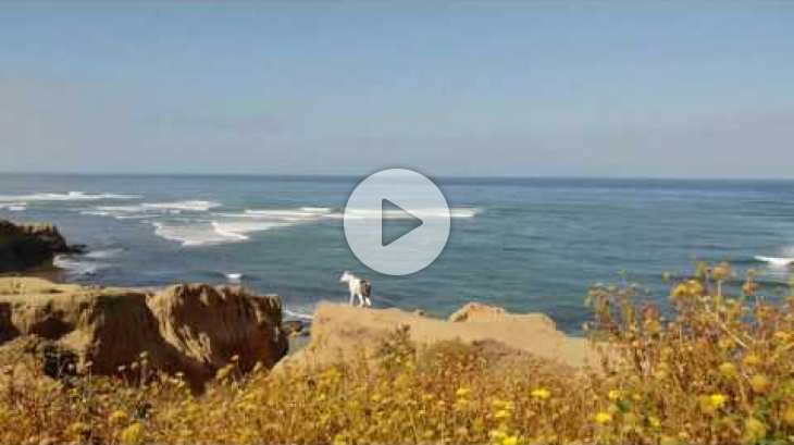 Sunset Cliffs Ocean Beach San Diego California