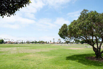 Click to view Dusty Rhodes Park page