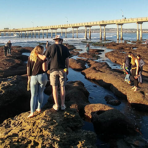 Click to view OB Pier and Tidepools page