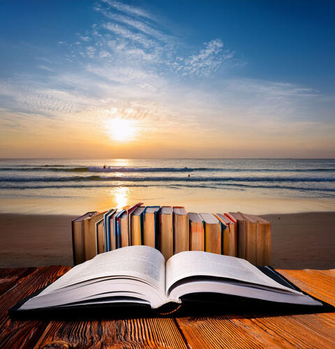 Ocean Beach News Article: Book Sale at Vignettes Antiques - Aug 24 - 10 am to 2 pm