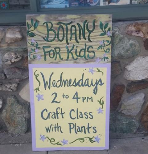 Botany for Kids