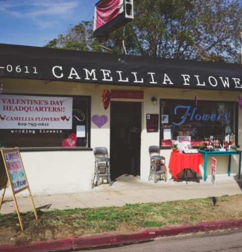 Valentine's Day Pop Up Shop at Camellia Wedding Flowers