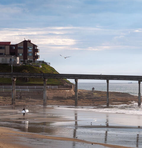 Ocean Beach News Article: COMMUNITY BEACH CLEANUP