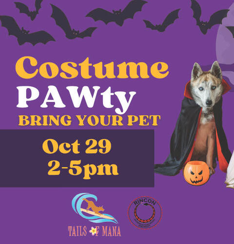 Ocean Beach News Article: Costume PAWty - Bring Your Pet