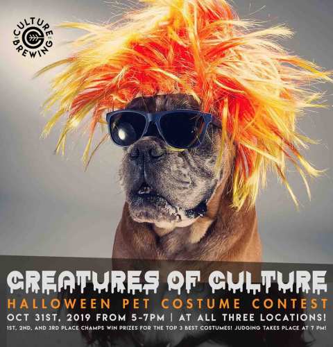 Ocean Beach News Article: CREATURES OF CULTURE - HALLOWEEN PET COSTUME CONTEST, OCTOBER 31ST!