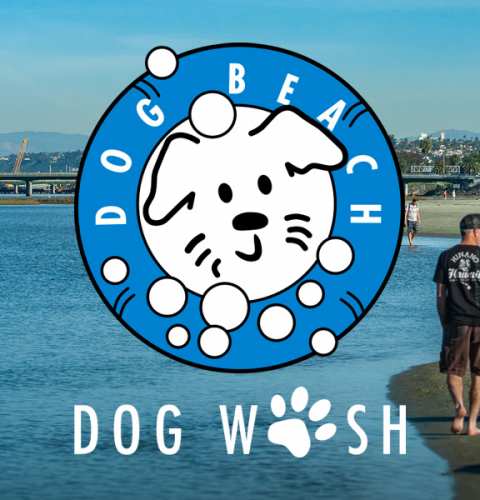 Ocean Beach News Article: Dog Beach Dog Wash is back open on Saturdays and Sundays!
