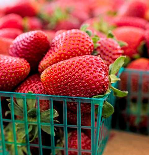 Happy National Farmers Market Week