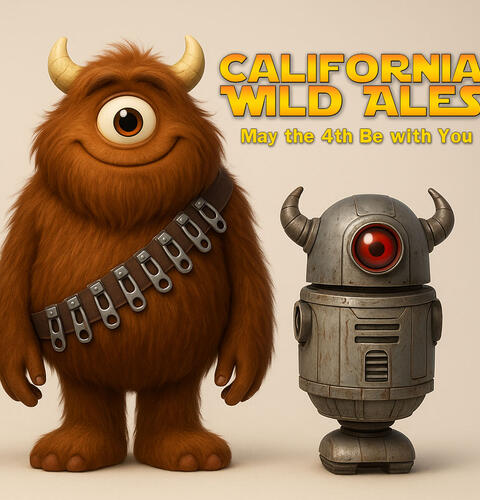 Ocean Beach News Article: OB REBELS, REPORT TO BASE!