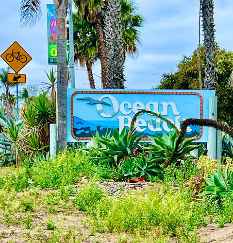 Ocean Beach News Article: OB Entryway Cleanup Sunday - May 18