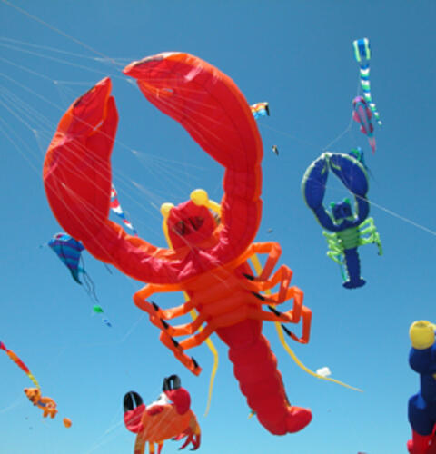 Ocean Beach News Article: 75th Ocean Beach Kite Festival