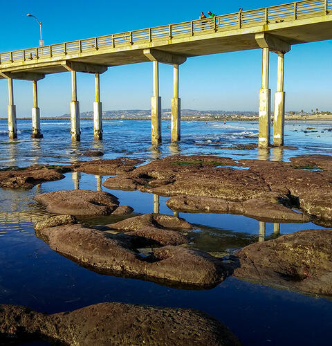 Ocean Beach News Article: The new pier will be at a higher elevation to minimize the potential for wave damage and account for future sea-level rises